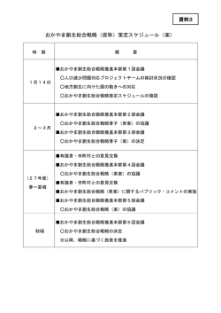 おかやま創生総合戦略（仮称）策定スケジュール（案） 資料3