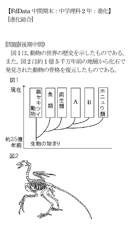 Fddata中間期末 中学理科2年 進化