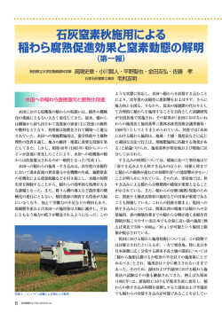 石灰窒素秋施用による稲わら腐熟促進効果と窒素動態の解明（第一報）