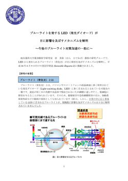 ブルーライトを発する LED（発光ダイオード）が 目に影響