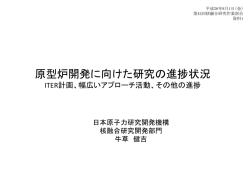 （独立行政法人日本原子力研究開発機構）（1） （PDF:2205KB）