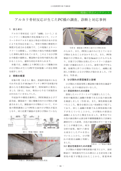 アルカリ骨材反応が生じたPC橋の調査、診断と対応事例