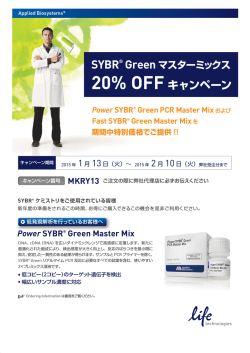 Power SYBR&reg; Green Master Mix