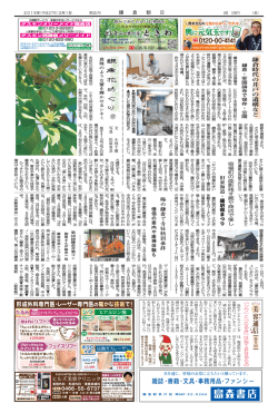 鎌倉時代の井戸の遺構など 鎌倉・安国論寺で保存・公開