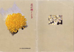 花が輝くとき「たけふ菊人形40回記念誌」（PDF形式：6563KB）