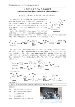 イリオモテオリド-2a の全合成研究 Studies toward the Total Synthesis