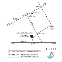 青山通り 首都高速 カストール＆ラボ