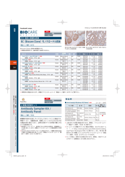 BC（Biocare Clone）モノクローナル抗体 Antibody Sampler