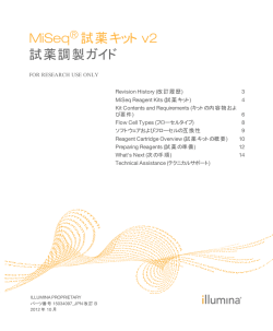 My Document