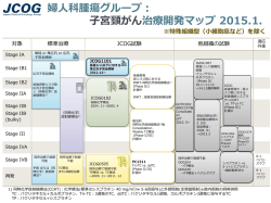 婦人科腫瘍グループ： 子宮頸がん治療開発マップ 2014.7.