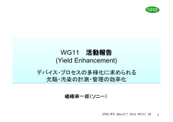 歩留向上WG「デバイス・プロセスの多様化に求め