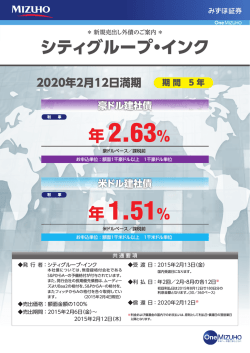 シティグループ・インク（PDF/860KB）
