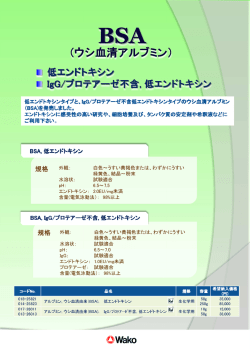 ウシ血清アルブミン） ウシ血清アルブミン