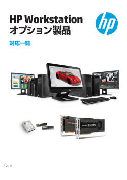 Desktop Workstationオプション製品（PDF）;pdf