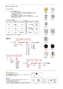 231M-H1004/R 231MK-CU-02 231TK-PHC-12