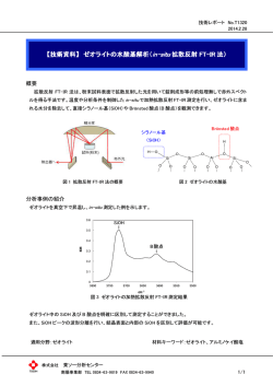 in-situ 拡散反射 FT-IR 法