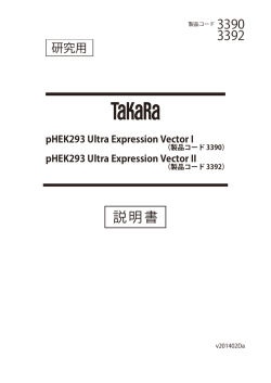 pHEK293 Ultra Expression Vector I