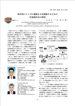 効率的にヒト iPS 細胞を大量増幅するための 培養操作法の開発