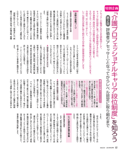 こちら - 介護プロフェッショナルキャリア段位制度