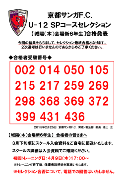 PDF - 京都サンガF.C.