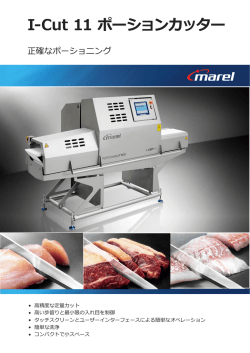 I-Cut 11 ポーションカッター