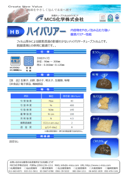 HB - MICS化学