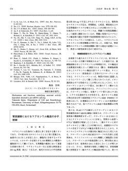 腎尿細管におけるマグネシウム輸送の分子 制御