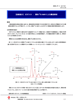 固体 29Si NMR による構造解析