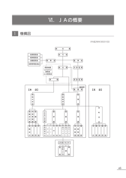 VI．JAの概要（PDFファイル 573KB）