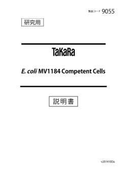 E. coli MV1184 Competent Cells