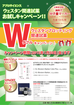 お試しキャンペーン！！
