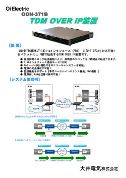 TDM OVER IP装置