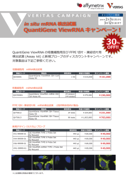 QG ViewRNAキャンペーンフライヤー.indd
