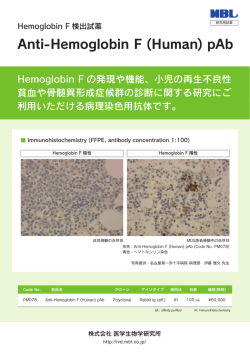 Anti-Hemoglobin F (Human) pAb