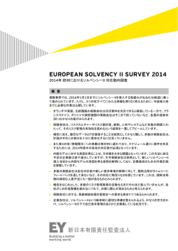 2014年 ソルベンシーⅡ サーベイ概要 （PDF：184KB）