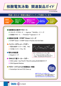 核酸電気泳動 関連製品ガイド