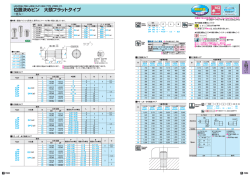 位置決めピン 大頭フラット夕イプ