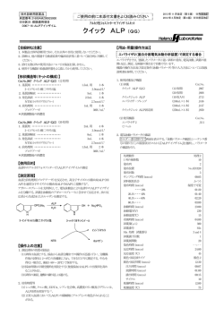 PDFファイル