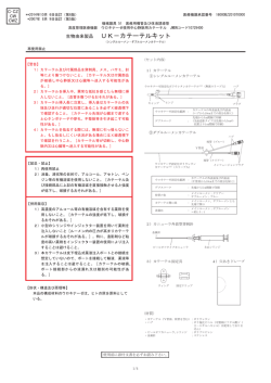 PDFファイル