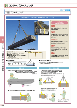 T 型パワースリング