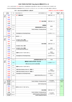 DOG TOWN FACTORY Dog Sports 週末のスケジュール