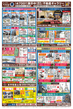 葵・駿河版（6）