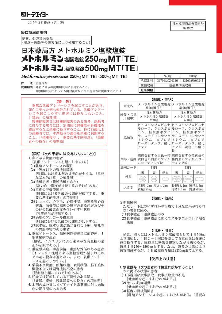 メトホルミン塩酸塩錠250mgmt Te