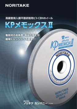 KPメモックスⅡ