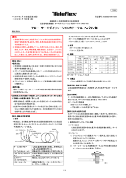 PDFファイル