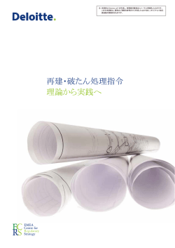 日本語翻訳版（PDF20ページ、706KB）