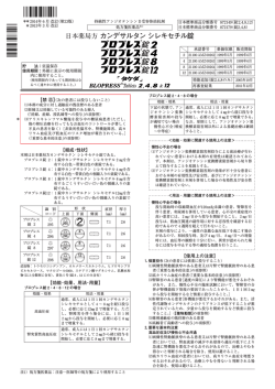 PDFファイル