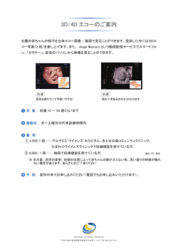 3D/4D エコーのご案内 - アルテミス・ウィメンズ・ホスピタル。