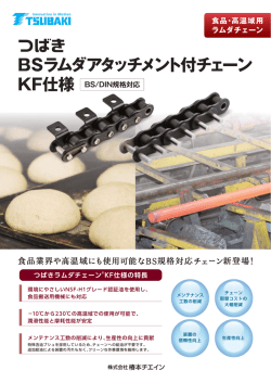 BSラムダアタッチメント付チェーン KF仕様