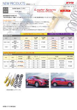 【新品番設定のお知らせ】 【Lowfer Sports+LHS】 新製品ニュース